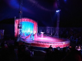 Поездка для работников предприятия и их детей в цирк в город Гродно