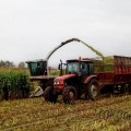 Закончена уборка кукурузы на зерно