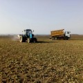 В хозяйстве успешно завершают подкормку озимых культур