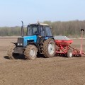 В хозяйстве увеличили до 40 гектаров сев кормовых бобов