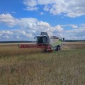 В хозяйстве закончили уборку рапса