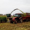 В хозяйстве закончена уборка кукурузы на силос