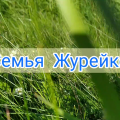 ПОЗДРАВЛЯЕМ!!! Семья Журейко Леонида и Дарьи заняла 2 место в районном этапе республиканского проекта «Властелин села — 2021»