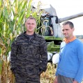 На полях РСУП "Олекшицы" убирают кукурузу на зерно.