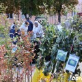 25 октября в г.п. Большая Берестовица в парке и по улице Ленина состоится ярмарка «Восеньскі кірмаш»