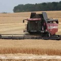 Безопасность во время уборки урожая — залог успеха.