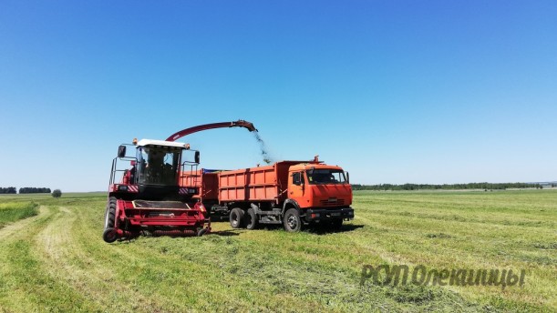 Более половины убрано трав первого укоса на сенаж для крупного рогатого скота