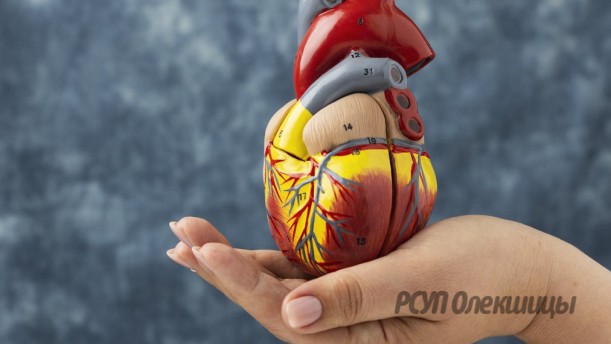 Исключите их из рациона! Какие продукты опасны для сердца.