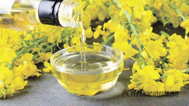 Рапсовое масло: за и против.
