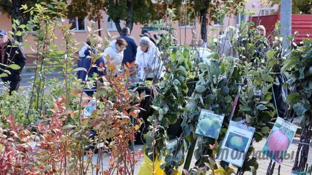 В октябре в Берестовицком районе пройдут осенние сельскохозяйственные ярмарки.