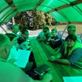 Единый день информирования.