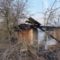 Сжигание мусора привело к пожару в Берестовицком районе.