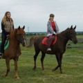 Фитнес, бильярд, конная прогулка. Как в районе провести досуг.