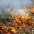 РОЧС напоминает правила пожарной безопасности на приусадебных участках.