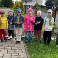 НАШИ ДЕТИ. Первый урожай лета собрали олекшицкие дошкольники.