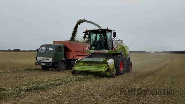 Заготовка кормов в РСУП "Олекшицы" набирает обороты.