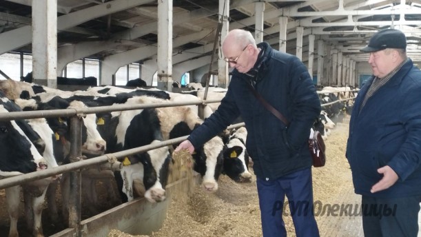 Зимовка на котроле!