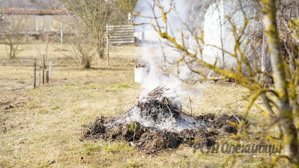 Как навести порядок на участке без происшествий, рассказали в МЧС.